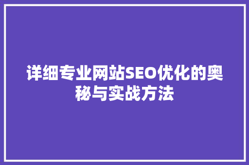 详细专业网站SEO优化的奥秘与实战方法