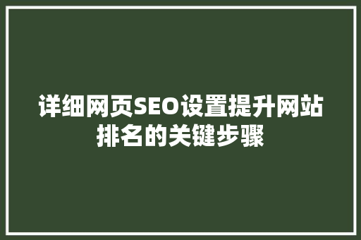详细网页SEO设置提升网站排名的关键步骤