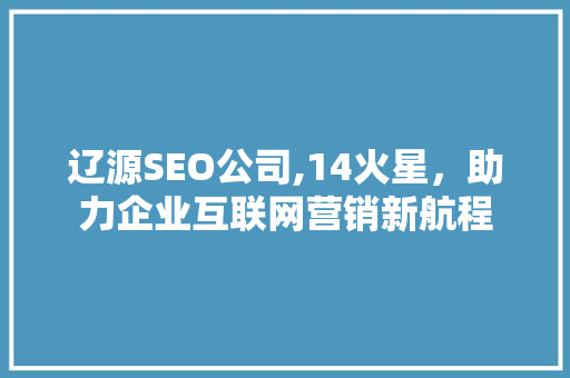 辽源SEO公司,14火星，助力企业互联网营销新航程