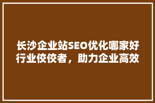 长沙企业站SEO优化哪家好行业佼佼者，助力企业高效提升在线曝光率
