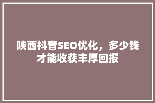 陕西抖音SEO优化，多少钱才能收获丰厚回报