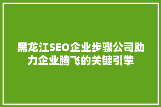 黑龙江SEO企业步骤公司助力企业腾飞的关键引擎