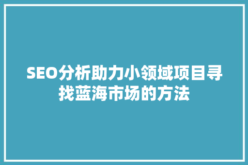 SEO分析助力小领域项目寻找蓝海市场的方法