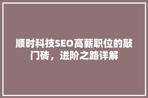 顺时科技SEO高薪职位的敲门砖，进阶之路详解