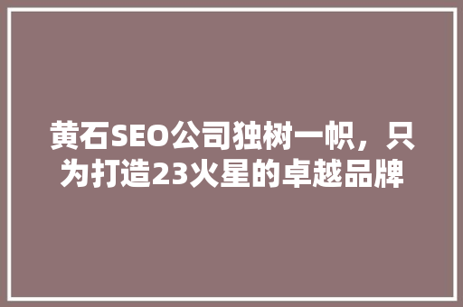 黄石SEO公司独树一帜，只为打造23火星的卓越品牌