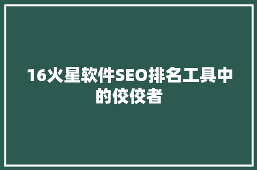 16火星软件SEO排名工具中的佼佼者  第1张