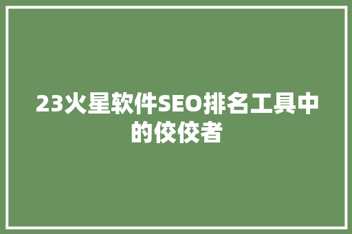 23火星软件SEO排名工具中的佼佼者