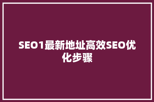 SEO1最新地址高效SEO优化步骤
