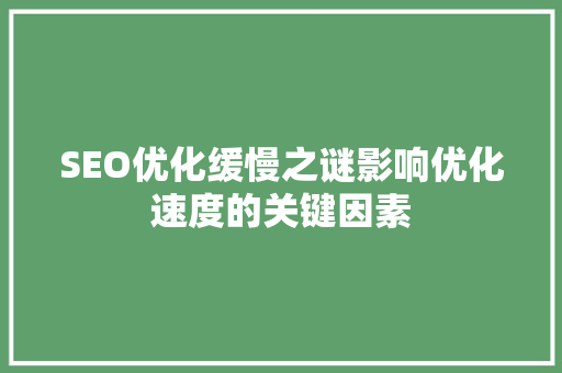 SEO优化缓慢之谜影响优化速度的关键因素