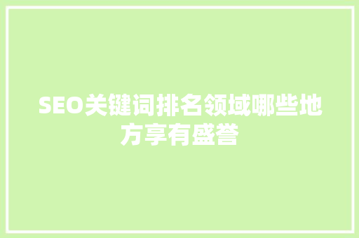 SEO关键词排名领域哪些地方享有盛誉