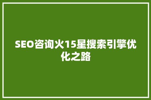 SEO咨询火15星搜索引擎优化之路