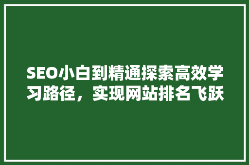 SEO小白到精通探索高效学习路径，实现网站排名飞跃