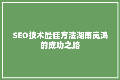 SEO技术最佳方法湖南岚鸿的成功之路