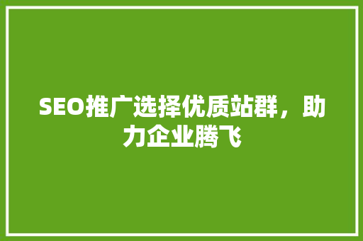 SEO推广选择优质站群，助力企业腾飞