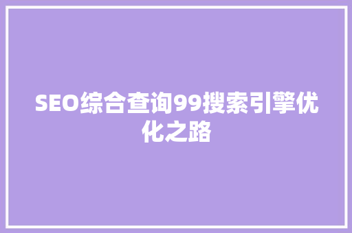 SEO综合查询99搜索引擎优化之路