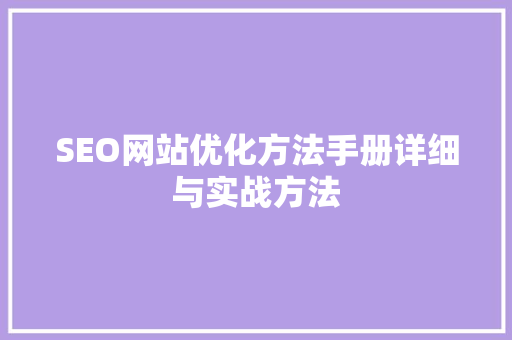 SEO网站优化方法手册详细与实战方法