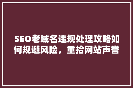 SEO老域名违规处理攻略如何规避风险，重拾网站声誉