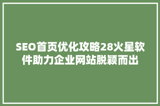 SEO首页优化攻略28火星软件助力企业网站脱颖而出