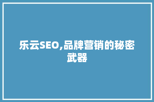 乐云SEO,品牌营销的秘密武器