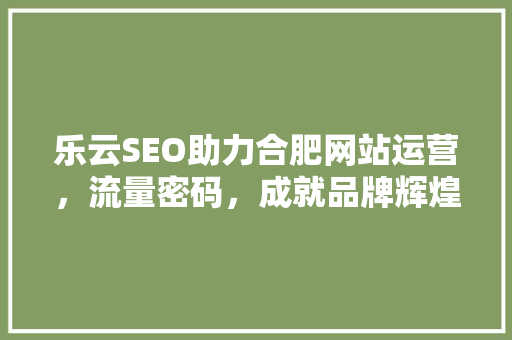 乐云SEO助力合肥网站运营，流量密码，成就品牌辉煌
