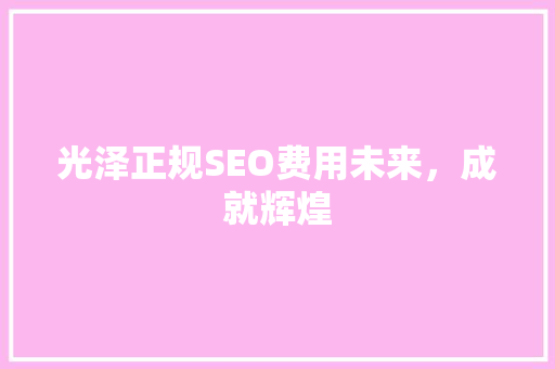 光泽正规SEO费用未来，成就辉煌