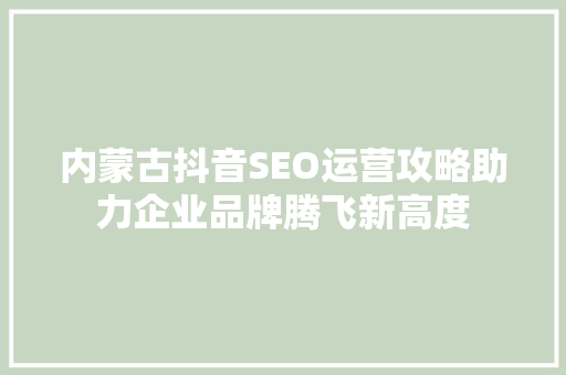 内蒙古抖音SEO运营攻略助力企业品牌腾飞新高度