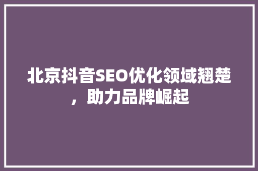 北京抖音SEO优化领域翘楚，助力品牌崛起