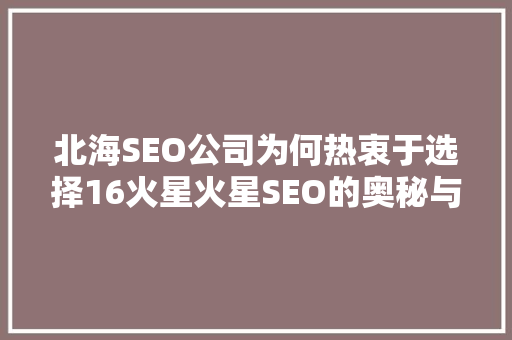 北海SEO公司为何热衷于选择16火星火星SEO的奥秘与优势
