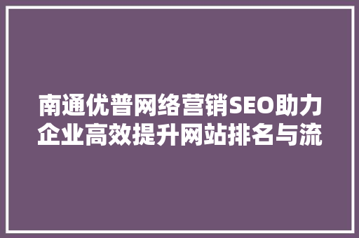 南通优普网络营销SEO助力企业高效提升网站排名与流量