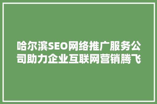 哈尔滨SEO网络推广服务公司助力企业互联网营销腾飞  第1张