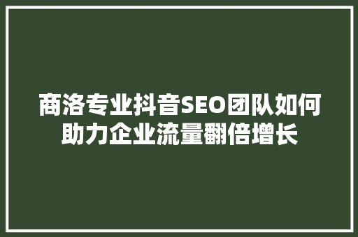 商洛专业抖音SEO团队如何助力企业流量翻倍增长  第1张