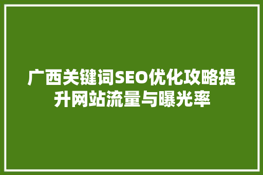 广西关键词SEO优化攻略提升网站流量与曝光率
