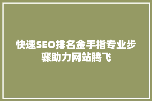 快速SEO排名金手指专业步骤助力网站腾飞