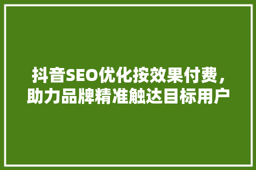 抖音SEO优化按效果付费，助力品牌精准触达目标用户