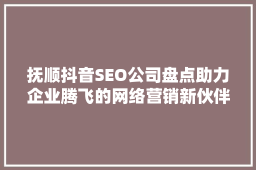 抚顺抖音SEO公司盘点助力企业腾飞的网络营销新伙伴