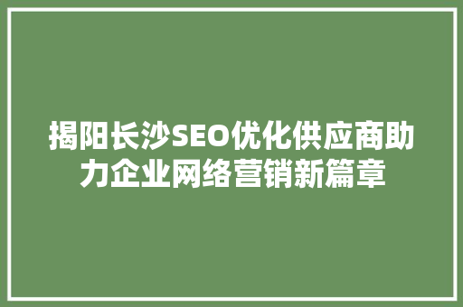 揭阳长沙SEO优化供应商助力企业网络营销新篇章  第1张