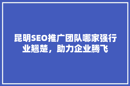 昆明SEO推广团队哪家强行业翘楚，助力企业腾飞