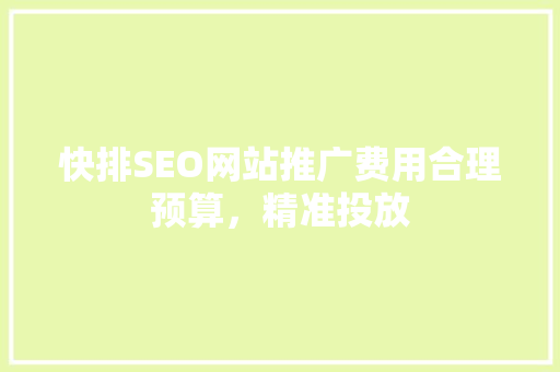 快排SEO网站推广费用合理预算，精准投放