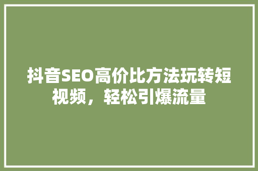 抖音SEO高价比方法玩转短视频，轻松引爆流量