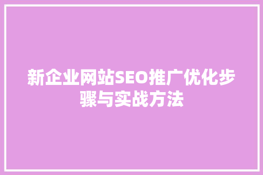 新企业网站SEO推广优化步骤与实战方法