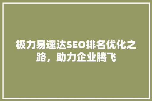 极力易速达SEO排名优化之路，助力企业腾飞