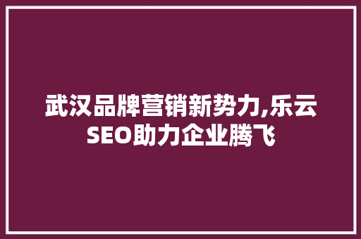 武汉品牌营销新势力,乐云SEO助力企业腾飞
