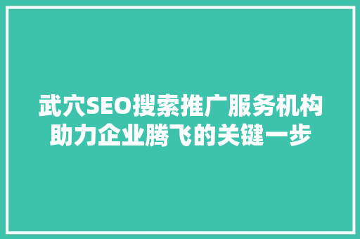 武穴SEO搜索推广服务机构助力企业腾飞的关键一步