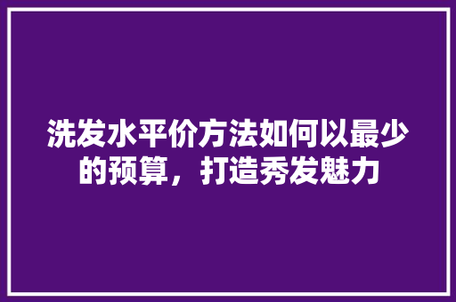 洗发水平价方法如何以最少的预算，打造秀发魅力