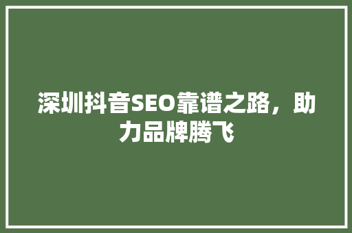 深圳抖音SEO靠谱之路，助力品牌腾飞