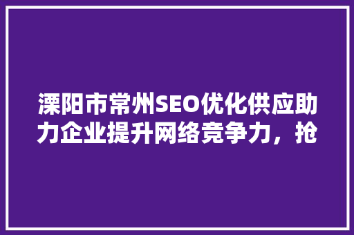 溧阳市常州SEO优化供应助力企业提升网络竞争力，抢占市场先机