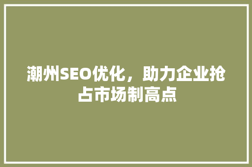 潮州SEO优化，助力企业抢占市场制高点