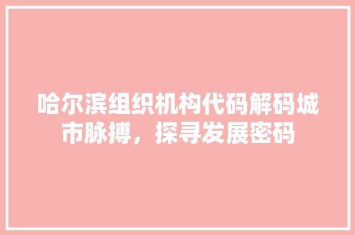 哈尔滨组织机构代码解码城市脉搏，探寻发展密码  第1张