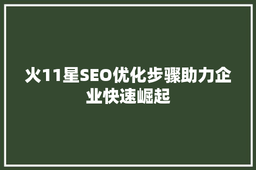 火11星SEO优化步骤助力企业快速崛起