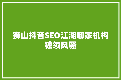 狮山抖音SEO江湖哪家机构独领风骚